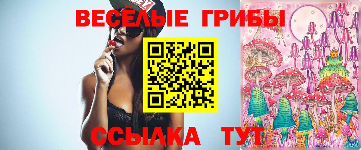 Галлюциногенные грибы ЛСД  Псилоцибиновые грибы мухоморы  Бор 