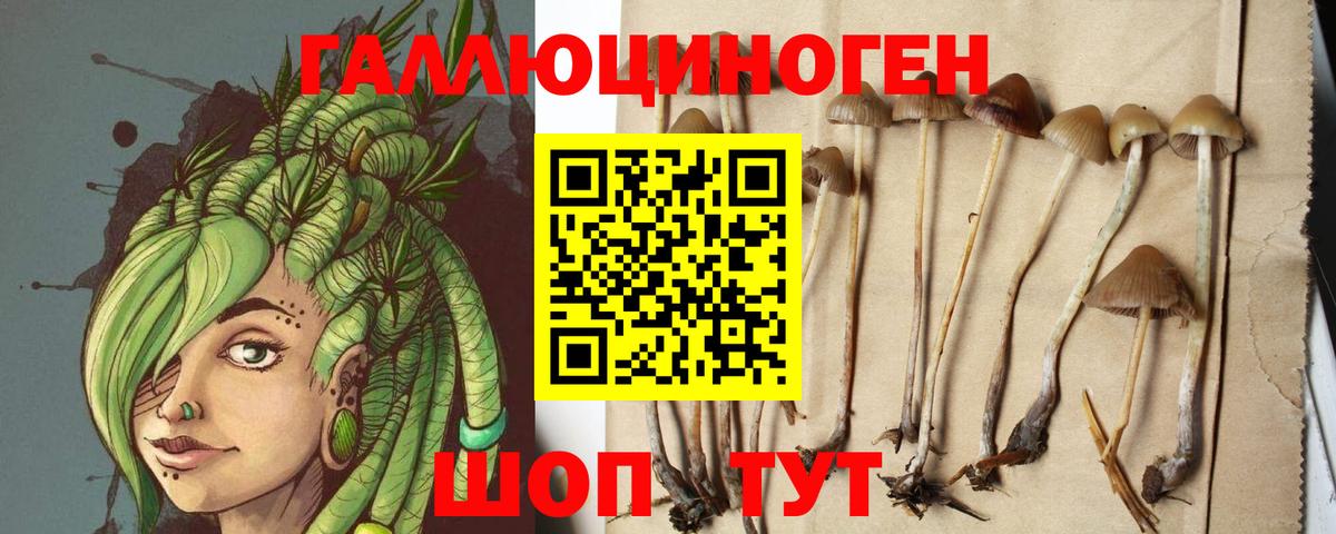 Псилоцибиновые грибы MAGIC MUSHROOMS Бор