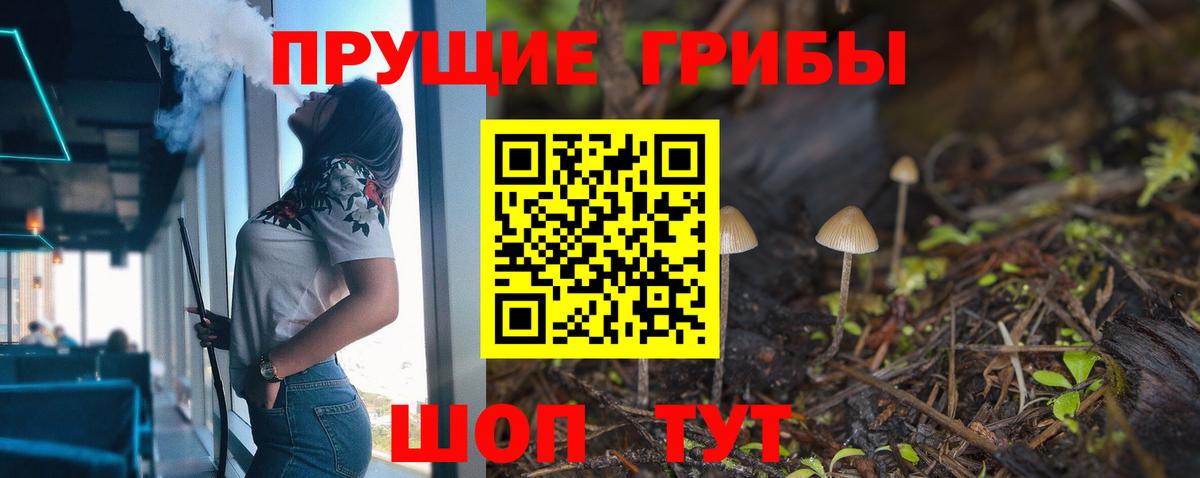 Бор  Галлюциногенные грибы мухоморы  Вход с VPN  Псилоцибиновые грибы Psilocybine cubensis 