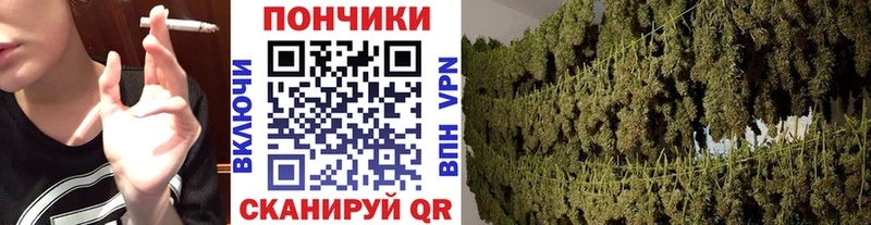 МАРИХУАНА планчик  как найти   MEGA маркетплейс  Бор 